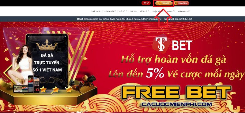 Các chương trình khuyến mãi 117Bet có sẵn mỗi ngày - 117Bet