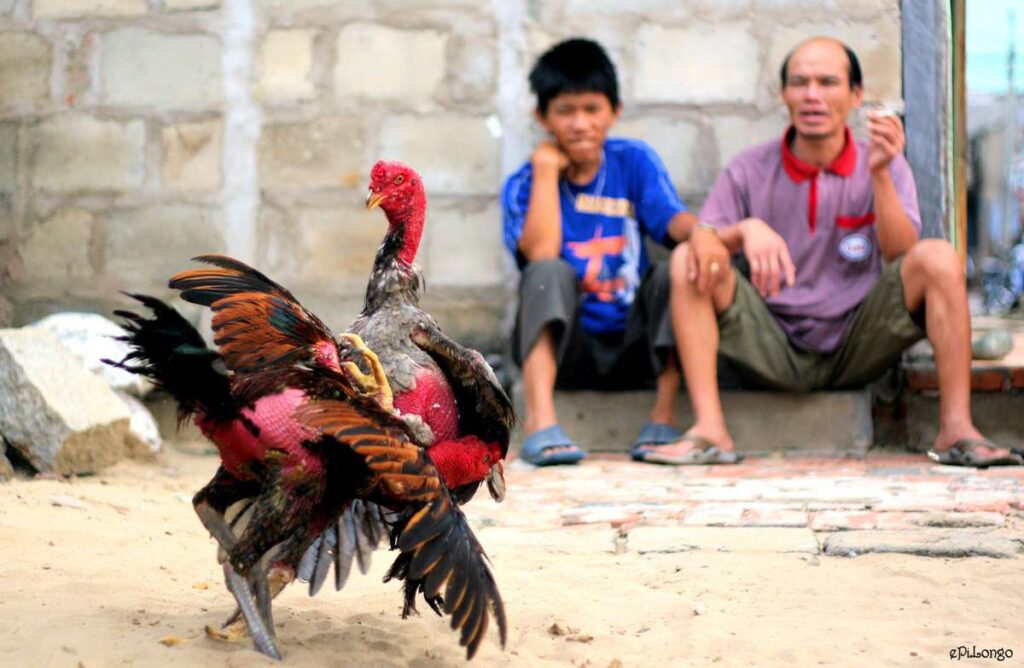 Quy trình nạp/rút tiền của 9Dbet rất nhanh chóng - 9Dbet