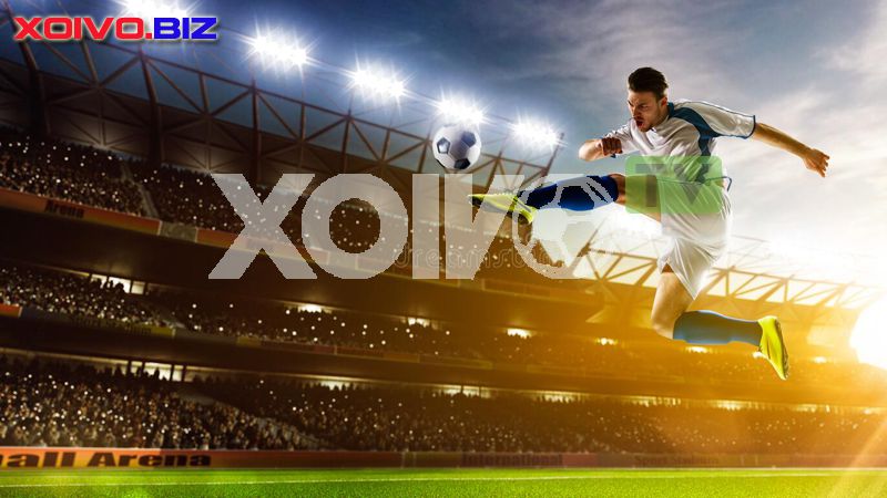 Đánh giá dịch vụ của công ty game Bong88 - Bong88