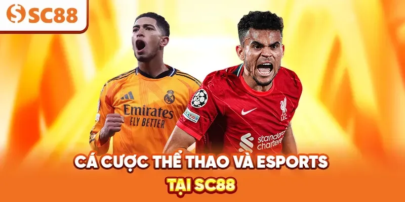 Sc88 có ứng dụng di động - Sc88