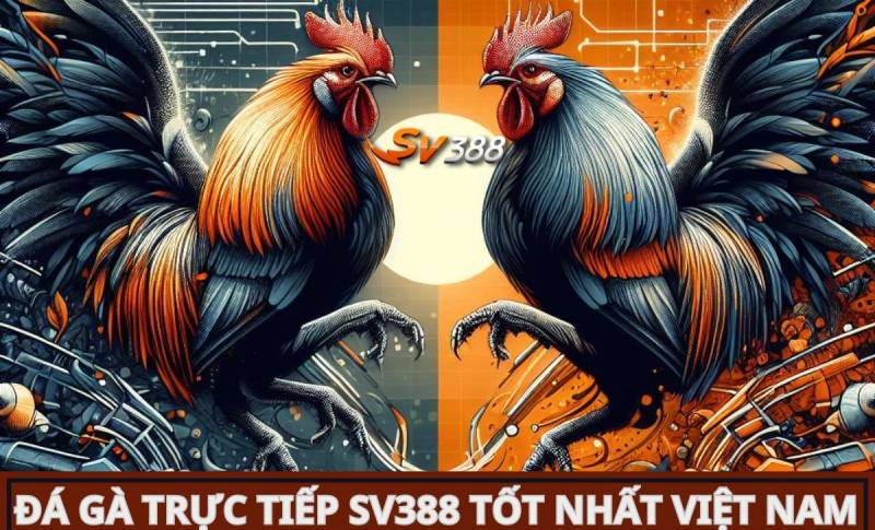 Các hoạt động và giải thưởng của F88bet - F88bet