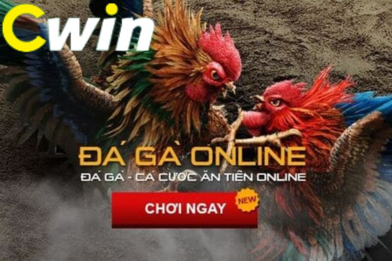 Giải đáp các câu hỏi thường gặp về Benbet - Benbet