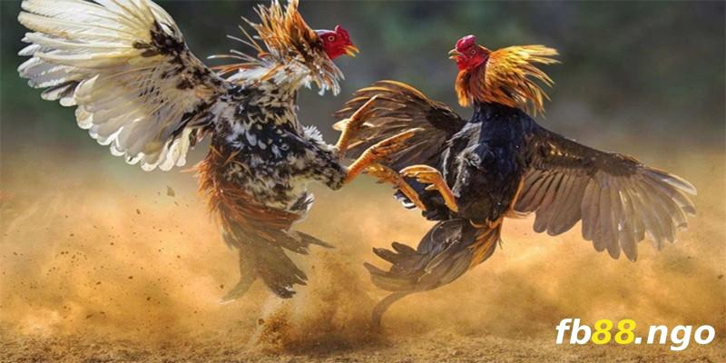 Đánh giá của người chơi về các game Lk88 - Lk88
