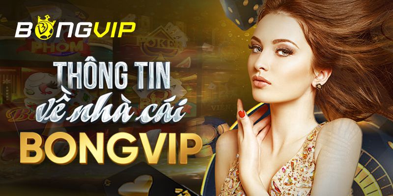 Giới thiệu các buổi biểu diễn trực tiếp đạt chuẩn Bongdalu - Bongdalu
