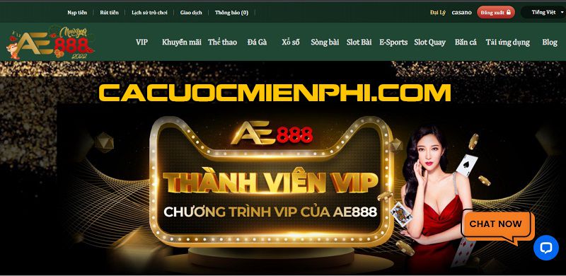 Giải thưởng Lối vào Chính Yue88 - Yue88