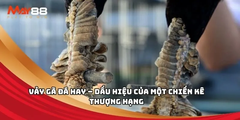 Sic Bo (Kuvip) là một trò chơi phổ biến - Kuvip