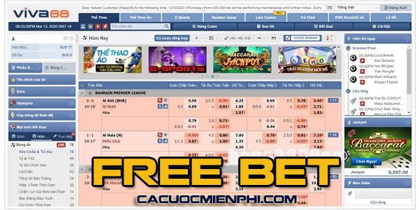 Các hoạt động và chính sách ưu tiên của 789P - 789P