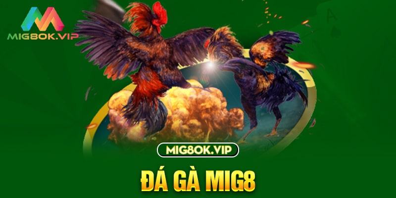Z8bet ra mắt trang web liên minh mới - Z8bet