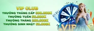 Tại sao nên chọn tham gia nền tảng cá cược trực tuyến của Suncity Gaming? - Suncity