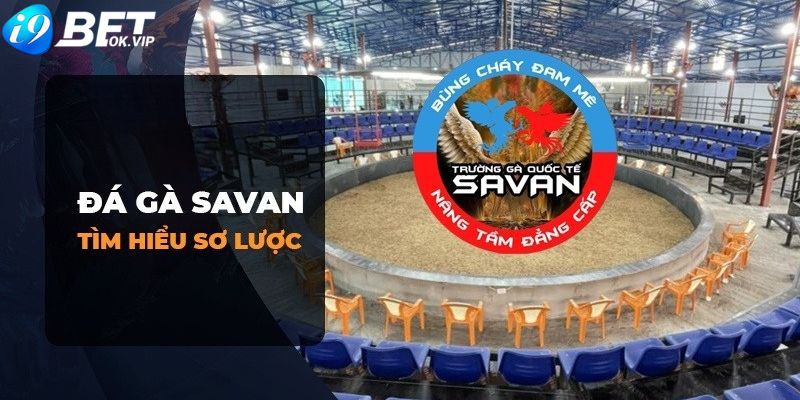 Kỹ năng đấu vật trực tuyến đạt cấp độ Bj66 - Bj66