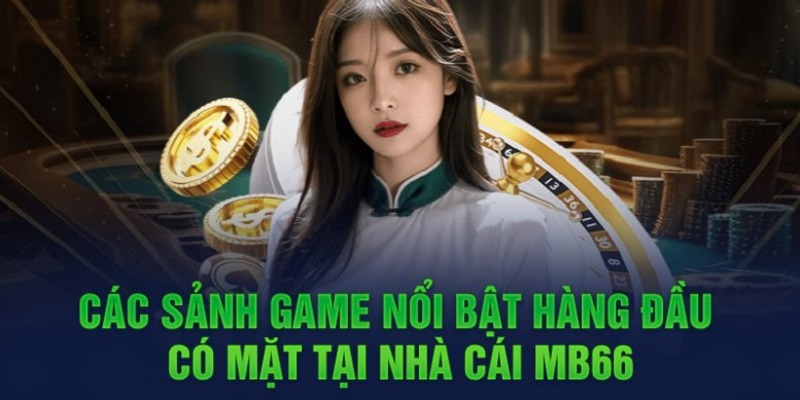 Khuyến nghị khi sử dụng 88T - 88T