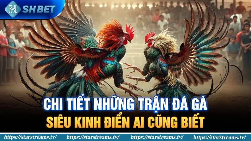 Trang web Cv88 Games cung cấp một cái nhìn tổng quan ngắn gọn về dự đoán xổ số - Cv88